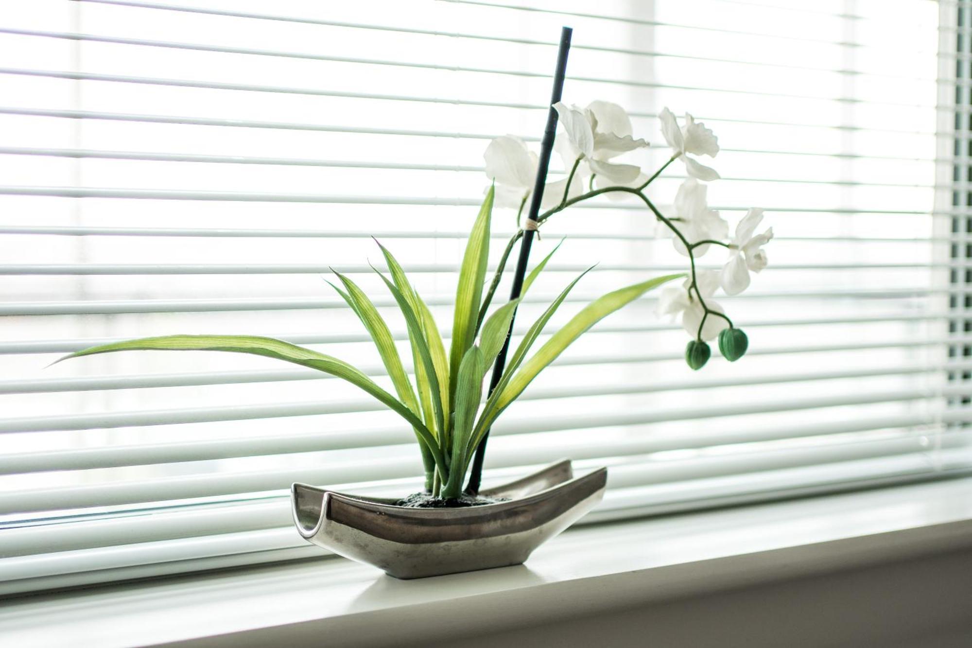 Canning Town -2 Bed Luxury Apartment London Eksteriør billede